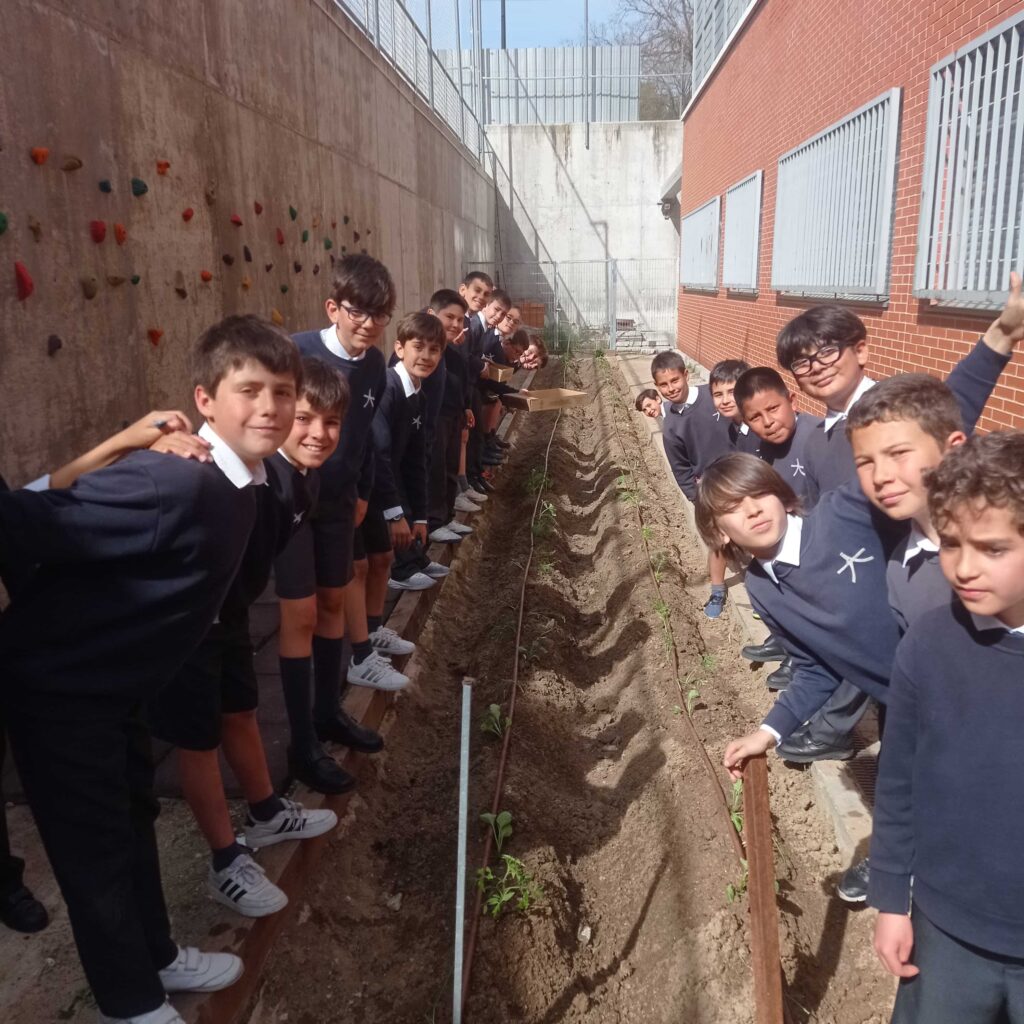 aprendizaje basado en servicio en primaria Colegio Andel en Alcorcón