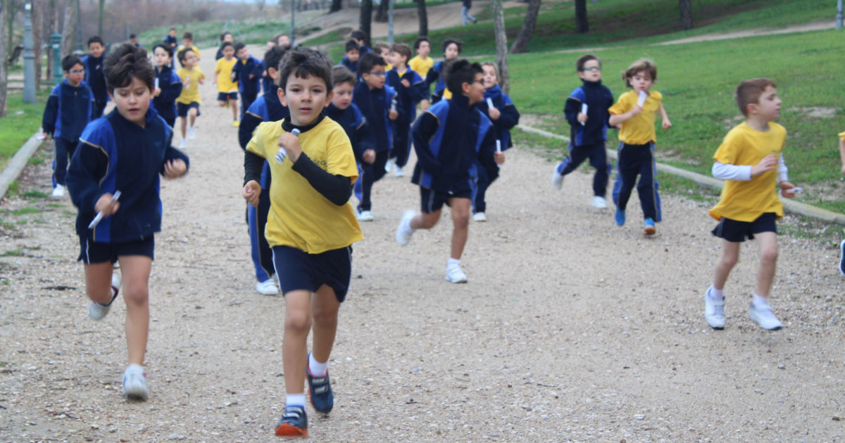 Infancia Ninez 1 Colegio Andel En Alcorcón