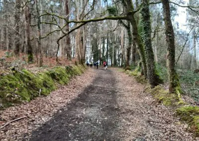 Camino de Santiago 389