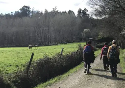 Camino de Santiago 361