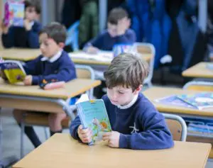 plan lectura técnicas estudios primaria