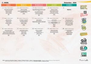 272700_C. ANDEL_766_202412 5