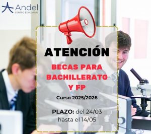 becas-ayuda-ministerio-educacion 5