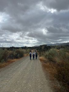 IMG-20251022-WA0018 5