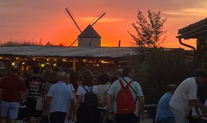 bb66184d-b55d-4b00-9ad1-0ee541e518fc 5