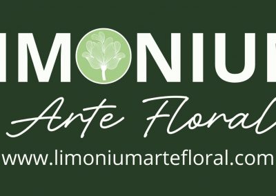 Formación a orientadores 13